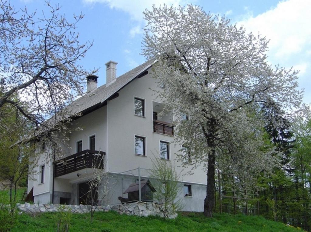 Apartments Pri Marjetki Cerkno Exterior foto